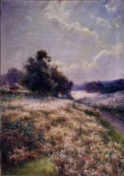 Blooming Meadow, 1906