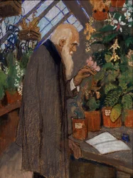 ""Porträtt av vetenskapsmannen Charles Robert Darwin (1809-1882) som undersöker växter i Langdon-Down-växthuset"" Målning av Mikhail Dmitrievich Ezuchevsky (1880-1928) 1920 State Darwin Museum, Moskva
