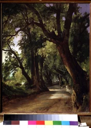 Utsikt över Albano nära Rom (Italien). (Utsikt i Albano nära Rom). Beskrivning av en grusväg mellan höga träd. Målning av Mikhail Ivanovich Lebedev (1811-1837), olja på duk, 1800-talslandskap. Statens Tretjakovgalleri, Moskva.
