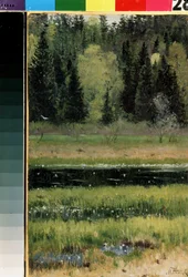 Landskap (Landskap). Målning av Mikhail Vasilyevich Nesterov (1862-1942), olja på kartong