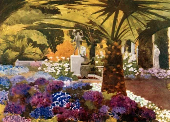 Cinerarias, Achilleion, Korfu