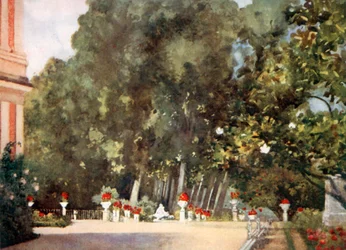 Magnolieträdet, Aranjuez
