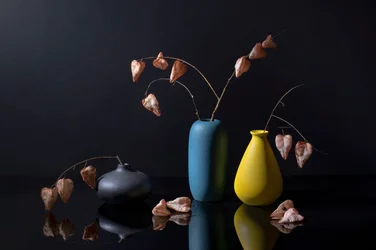 Moderna botaniska vaser
