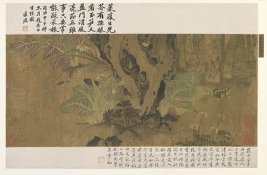 Bambu, groda och insekter