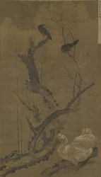 Myna, gäss och blommande plommon