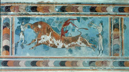 Minoisk civilisation: scen med taurokathapsia, en kretensisk sport som består i att hoppa upp på ryggen på en tjur. Fresk från kung Minos palats i Knossos. 1700-1400 f.Kr. Heraklion, Arkeologiska museet