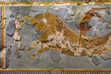 Detalj av tjurhoppsfresken, funnen i Knossos
