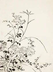 Höstblommor och gräs (1762)
