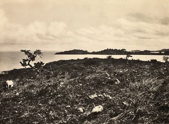 Att bygga ett imperium i den fascistiska tidsåldern: Lake Tana. Etiopien, 1936-05-09 (s/v-foto)