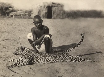 Bygga ett imperium i den fascistiska tidsåldern: inhemska visar en leopard, 1936-05-09 (s/v foto)