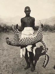 "Building an Empire" i den fascistiska tidsåldern: inhemska som visar en leopard, 1936-05-09 (s/v foto)