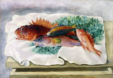 Fisk