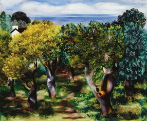 Landskap i Sanary; Paysage de Sanary