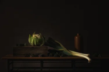 Stilleben – ”Dark Harvest”
