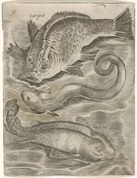 Studieblad met drie vissen Fisk live-ikoner (serietitel)