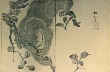 Monkey, 1815, 1924.