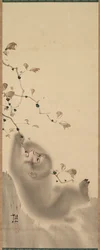 Monkey som hänger på en gren, 1780.