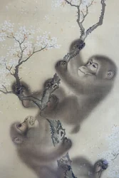 Apor i ett blommande körsbärsträd, 1 av 2, Mori Sosen, Japan, Edo-perioden, tidigt 1800-tal, bläck och färg på siden - Arthur M. Sackler Museum, Harvard University - DSC01127