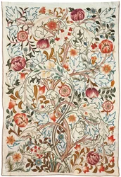 Acanthus dörr