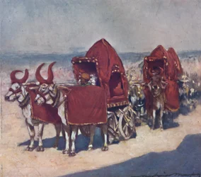 Vissa inhemska fordon, 1903