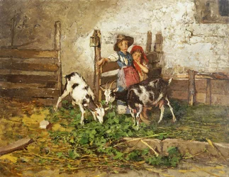Barn och getter i en lada,