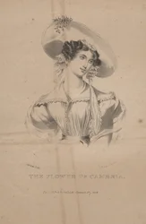 The Flower of Cambria, litho av C.G. Childs, 1830