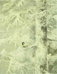 Bofink i ett snötäckt träd