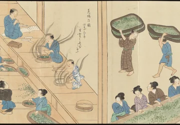 Illustrationer av teproduktionen i Uji