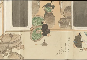 Illustrationer av teproduktionen i Uji