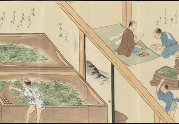 Illustrationer av teproduktionen i Uji