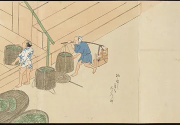 Illustrationer av teproduktionen i Uji