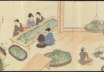 Illustrationer av teproduktionen i Uji