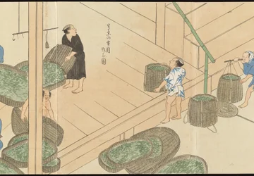 Illustrationer av teproduktionen i Uji