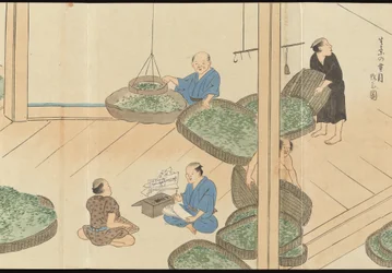 Illustrationer av teproduktionen i Uji