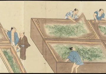 Illustrationer av teproduktionen i Uji