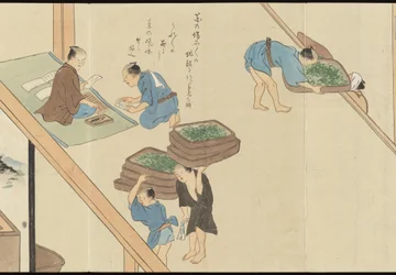 Illustrationer av teproduktionen i Uji