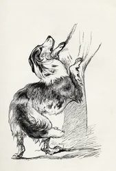 Halvuppfödd herdehund som smeker sin husse, från Charles Darwins "The Expression of the Emotions in Man and Animals", 1872