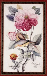 Gul-o Bulbul, ca. 1849-50 (akvarell på papper)