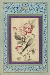 Rosor och näktergal, sent 1700-tal (bläck & färg på papper)