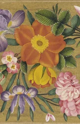 Sida från St. Petersburg Album, Indien, 1727 (färg på guldslipad)