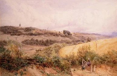 Sommarlandskap nära Haslemere, Surrey