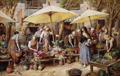 Blomstermarknaden, Toulon,