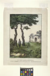 Washingtons grav och skugga