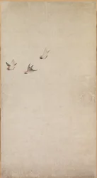 Valpar, sparvar och krysantemum, 1754-1799.
