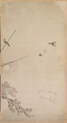 Valpar, sparvar och krysantemum, 1754-1799.