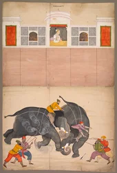 Två elefanter slåss på en innergård före Muhammad Shah, ca. 1730-40.