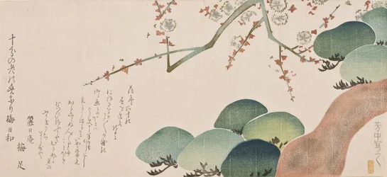 Tall och plommonblomma, 1810-30 (färgtryck)