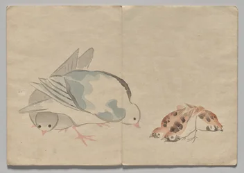 Scen från The Kōrin Picture Book (volym 1)