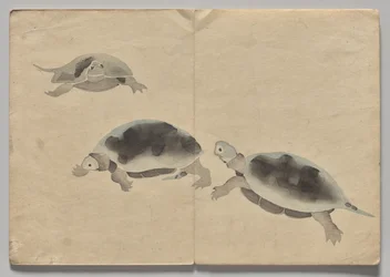 Scen från The Kōrin Picture Book (volym 2)