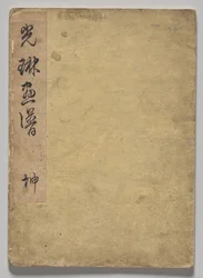 The Kōrin Picture Book (Volym 1)
